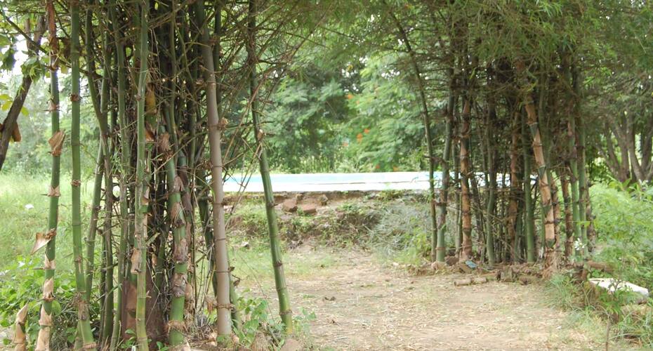 Vulcan Wildlife Resort, Seoni 5